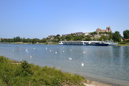Allemagne, Bade-Wurtemberg, Vieux-Brisach (en allemand Breisach am Rhein) dominé par la collégiale Saint-Etienne (Münster) et en bordure de Rhin