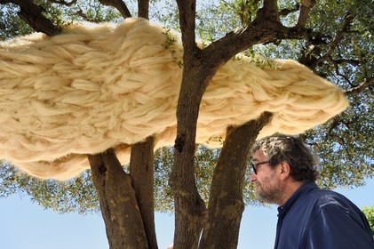 France, Alpes-Maritimes (06), Saint Paul de Vence, Olivier Kaeppelin Président de la Biennale Internationale de Saint-Paul de Vence, La Nebuleuse des  Dryades (2021) oeuvre de Charles Le Hyaric