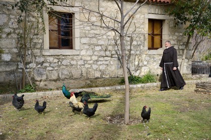 Croatie, Dalmatie, Parc national de Krka, monastère franciscain de l’îlot Visovac, moine avec poules, coq et paon en liberté