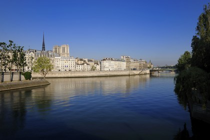 France, Paris (75), Ile de la Cité, Notre-Dame émergeant du quai aux fleurs et la pointe de l'île Saint-Louis sur la Seine