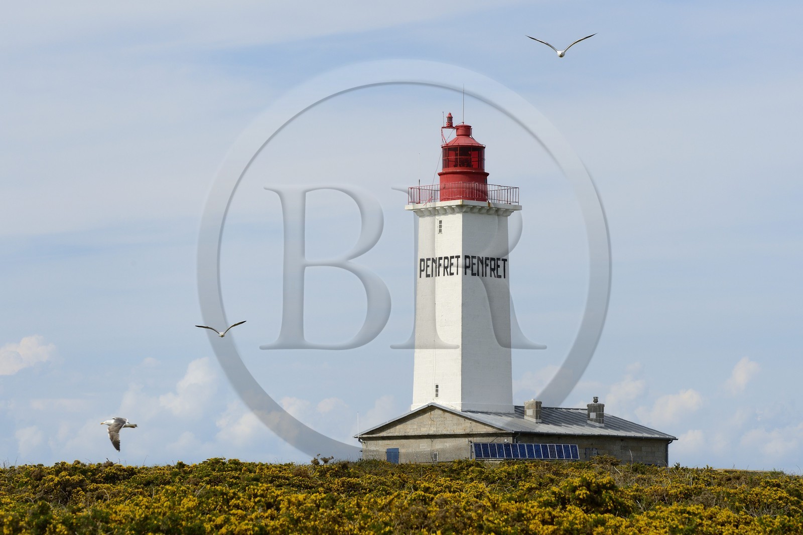 France, Finistère (29), La Foret Fouesnant, archipel des Glénan, Ile de Penfret, le phare
