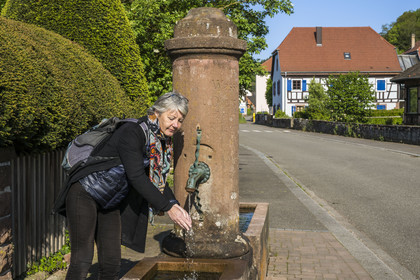 France, Bas-Rhin (67), Parc naturel régional des Vosges du Nord, Obersteinbach, une des nombreuses fontaines dans la rue principale