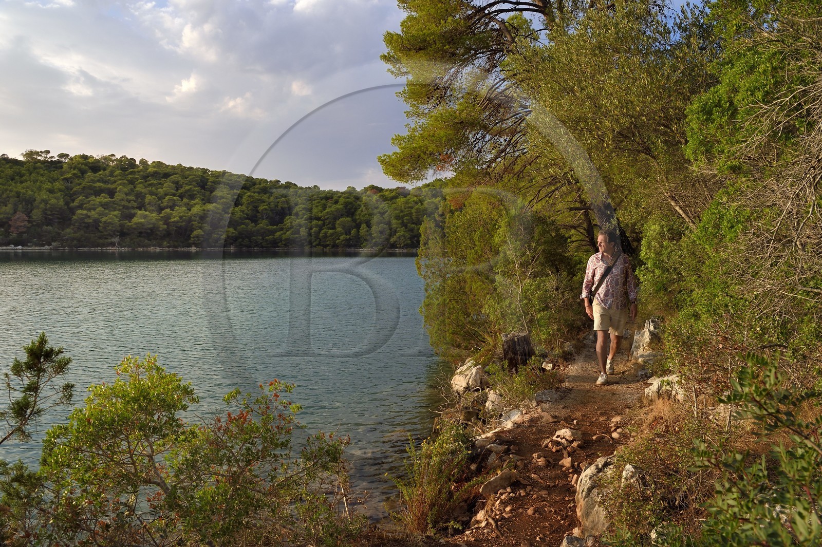Croatie, Dalmatie, cote dalmate, Ile de Mljet, Parc national de Mljet, le petit lac