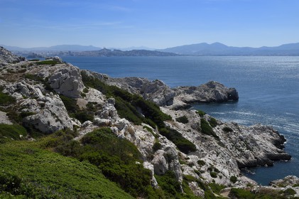France, Bouches-du-Rhône (13), Marseille, Parc National des Calanques, Archipel des Iles du Frioul, Ile de Pomègues et la skyline de Marseille en arrière plan