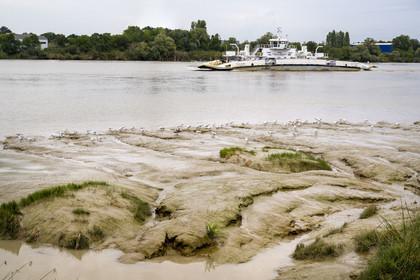France, Loire-Atlantique (44), Le Pellerin, bac permettant la traversée de la Loire entre Le Pellerin et Couëron