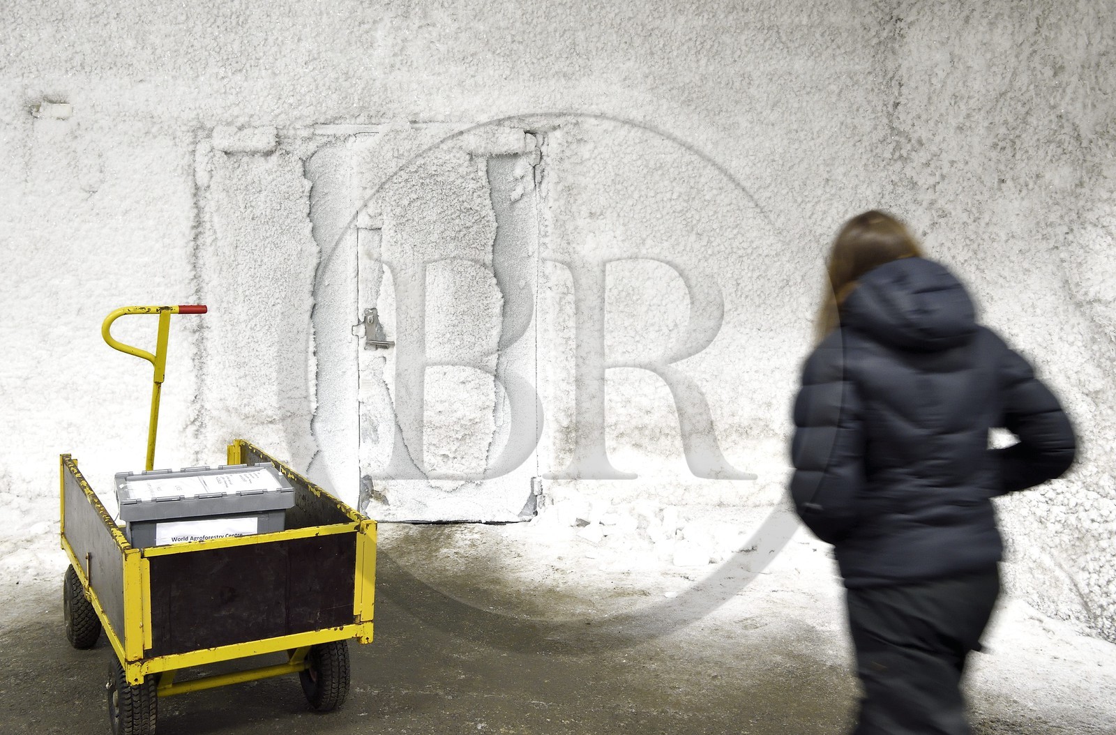 Norvège, Svalbard, Spitzberg, Longyearbyen, la Réserve mondiale de semences du Svalbard (banque de graines du Global Seed Vault), antichambre des 3 zones de stockage creusée dans la roche et à une température constante de -4°C fournie par le permafrost, porte d'accès à la salle de stockage maintenue artificiellement à -18°C