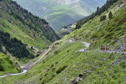Géorgie, Kakheti, Parc national de Touchétie, vallée de la rivière Alazani dans les montagnes de Pirikiti, cavaliers effectuant une randonnée à cheval