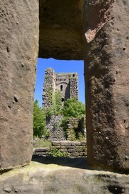 France, Bas-Rhin (67),  Saverne, chateau du Grand Geroldseck du XIIème siècle, donjon carré en pierres à bossage avec murs de 3 mètres d'épaisseur
