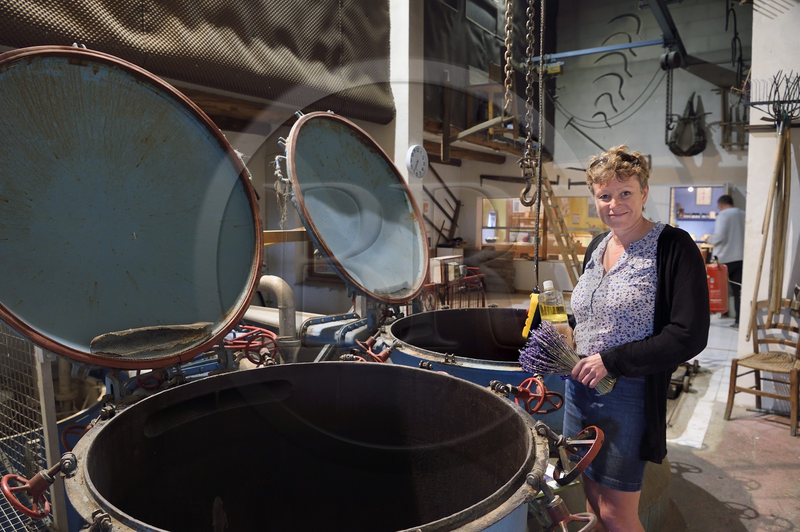 France, Alpes-de-Haute-Provence (04), La Mure-Argens, Véronique Blanc cultive et transforme la lavande en huile essentielle