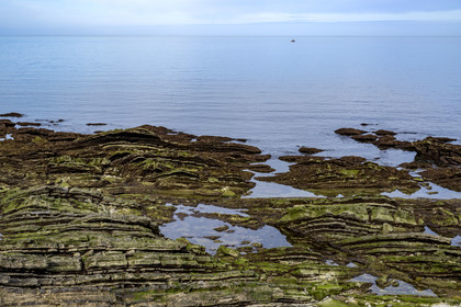 France, Pyrénées-Atlantiques (64), la côte du Pays-Basque, Guéthary, la cote rocheuse, roche de flysch