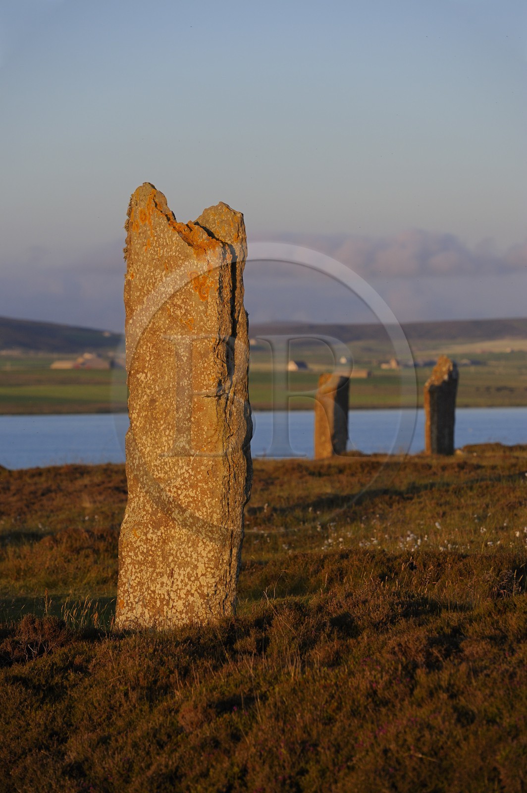 Royaume-Uni, Ecosse, Iles Orcades, Ile de Mainland, au bord du Loch of Stenness, cercle de pierres levées du Ring of Brodgar, classées Patrimoine Mondial de l' UNESCO