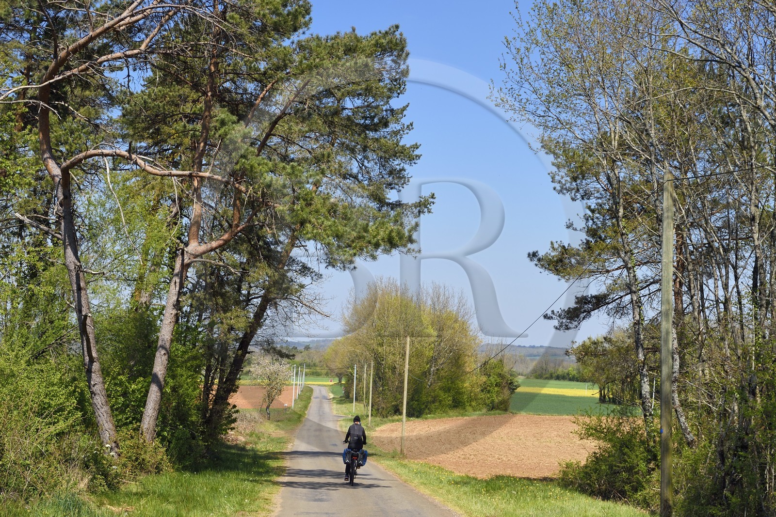 France, Charente (16), Souffrignac, cyclistes sur la véloroute la Flow Vélo, route de campagne