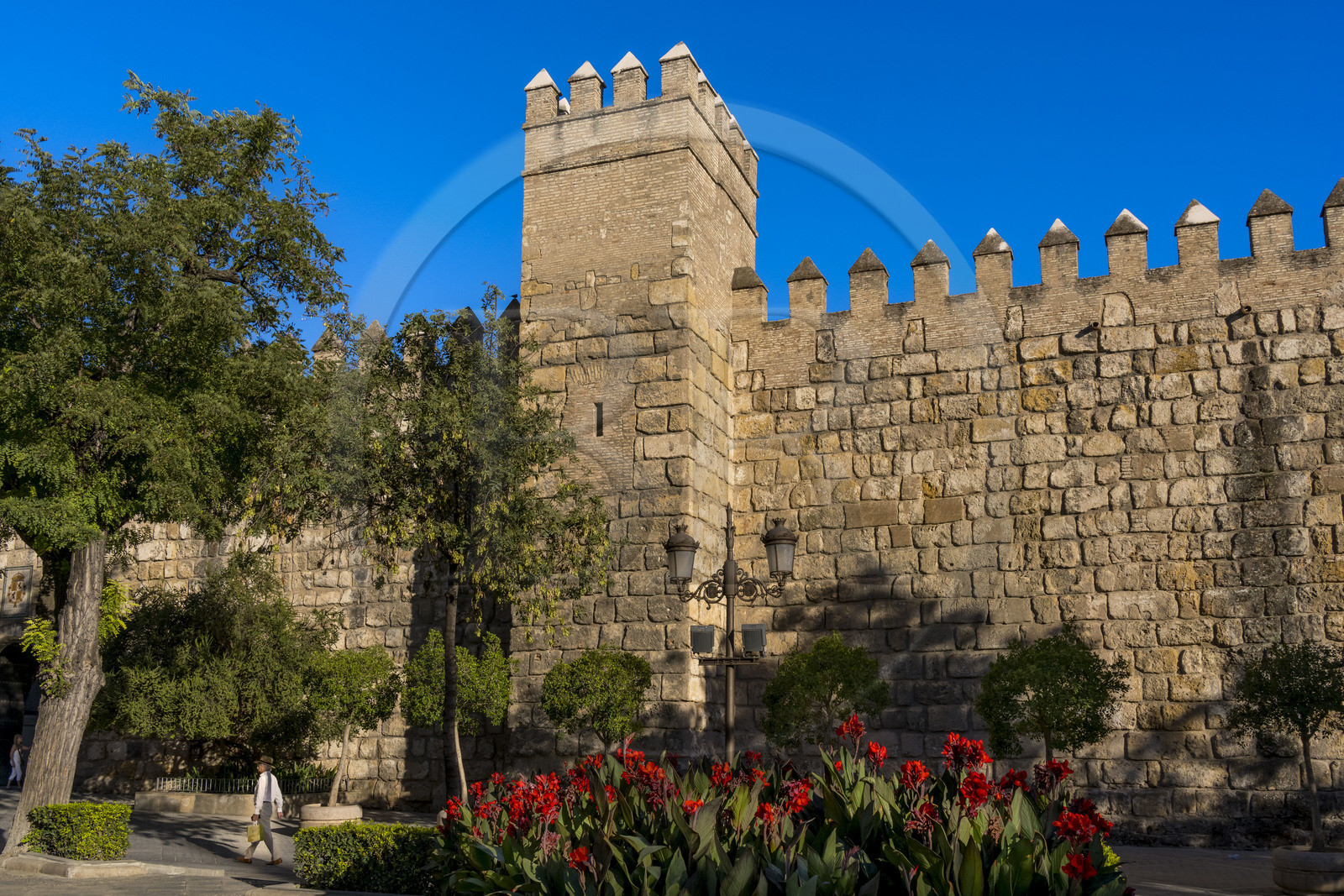 Espagne, Andalousie, Séville, Alcazar de Séville (Reales Alcazares de Sevilla), classé Patrimoine Mondial de l'UNESCO, la muraille extérieure
