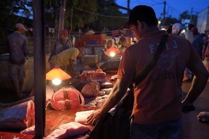 Sri Lanka, Province de l'Ouest, Negombo, vente de la peche de la nuit à la halle aux poisson du port