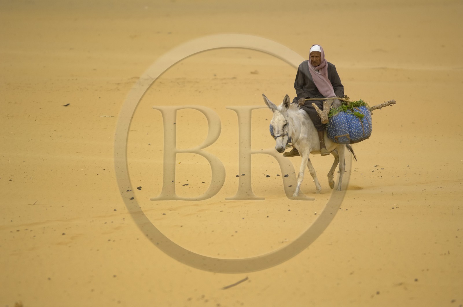 Egypte, Haute Egypte, désert libyque, oasis de Dakhla, village de Al-Qasr