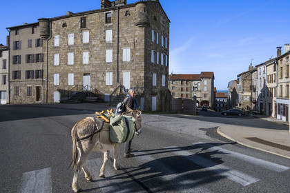 France, Haute-Loire (43), Pradelles, labellisé Les Plus Beaux Villages de France, randonnée avec un âne sur le chemin de Stevenson (GR 70) vers la vieille ville