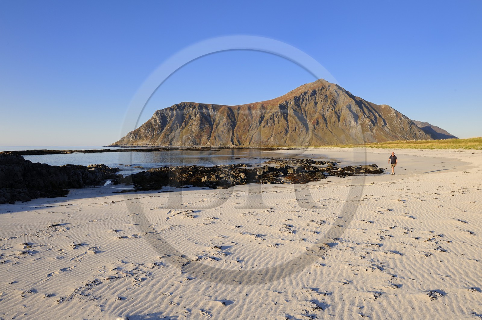 Norvège, Nordland, Iles Lofoten, Ile de Flakstadoy, plage de sable blanc de Ramberg