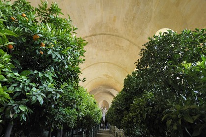 France, Yvelines (78), château de Versailles, classé Patrimoine Mondial de l'UNESCO, l'Orangerie en hiver de Jules Hardouin-Mansart