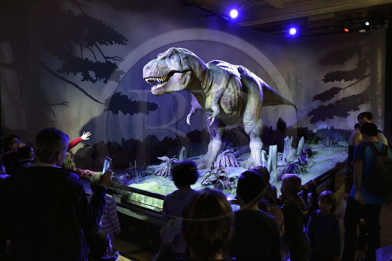 Royaume-Uni, Londres, Kensington, musée d’histoire naturelle (Natural History Museum), Tyrannosaurus Rex (T-Rex) animé