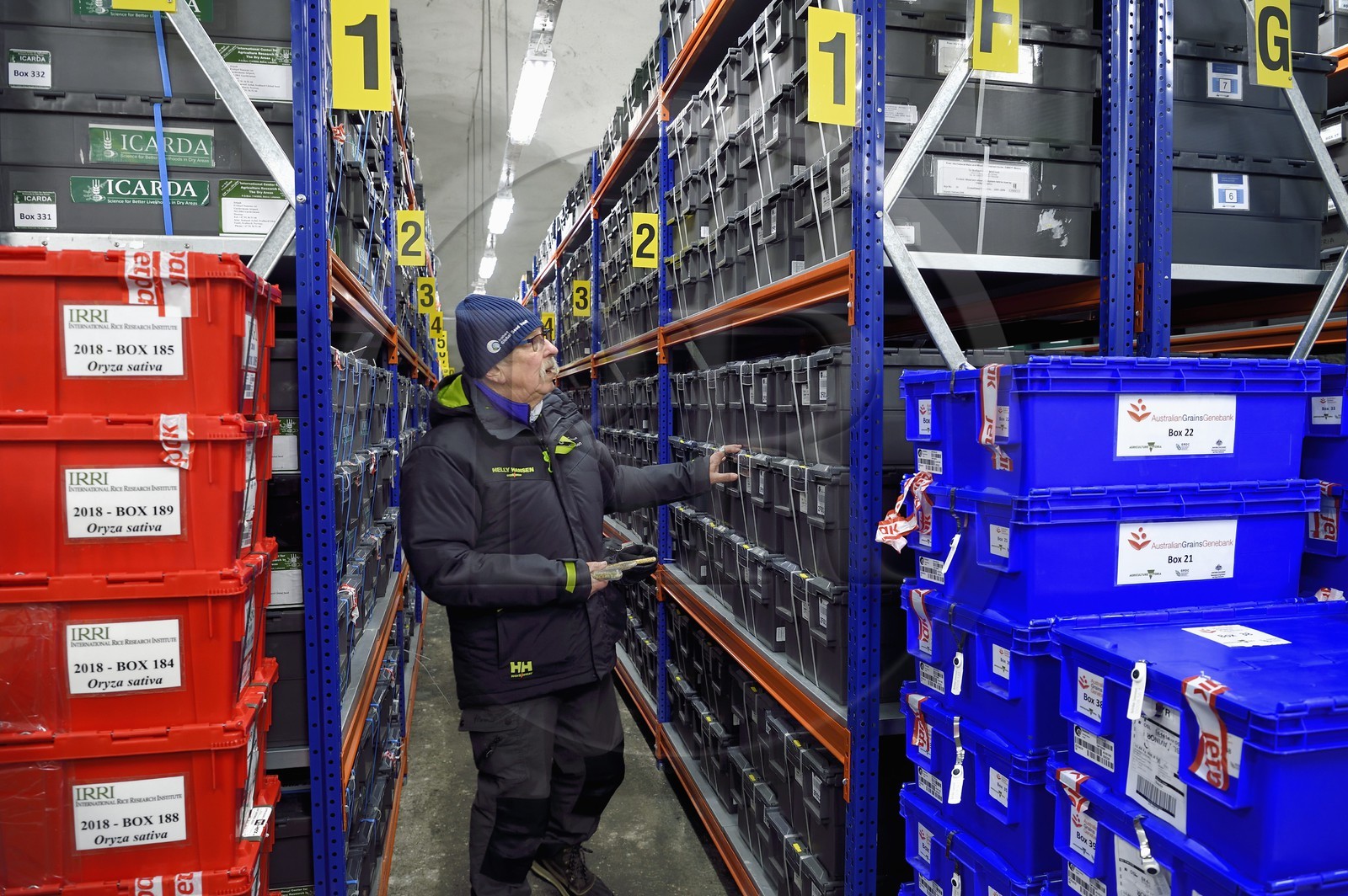 Norvège, Svalbard, Spitzberg, Longyearbyen, la Réserve mondiale de semences du Svalbard (banque de graines du Global Seed Vault), salle de stockage des semences artificiellement maintenue à -18°C, près de 900000 échantillons ont été déposés, provenant de 200 pays d'origine et de 73 instituts déposants