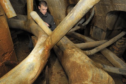 France, Yvelines (78), château de Versailles, classé Patrimoine Mondial de l'UNESCO, le réseau hydraulique souterrain des fontaines, sous la fontaine de Latone