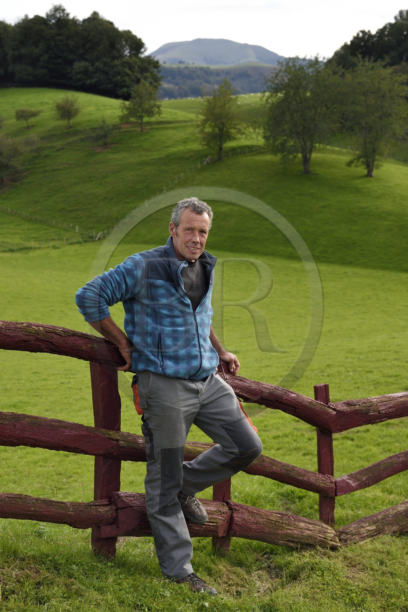 France, Pyrénées-Atlantiques (64), Pays-Basque, vallée des Aldudes, Urepel, l'éleveur de brebis manech tête noire Jean-Bernard Etchebarren