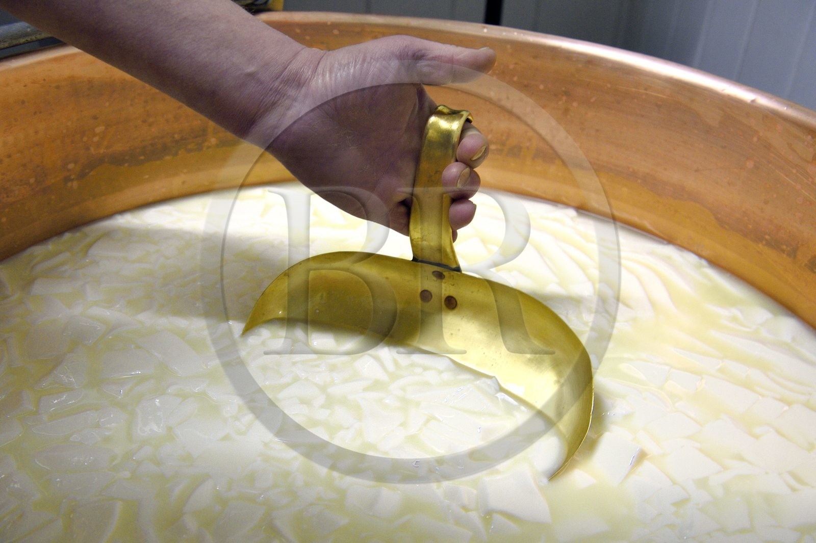 France, Haut-Rhin (68), Wasserbourg, Ferme-auberge Buchwald, le marcaire Michel Wehrey à la fabrication du fromage de munster AOP (lait de vache), découpe à l'écumoire du caillé pour faire monter le petit lait et descendre le fromage dans le chaudron en cuivre
