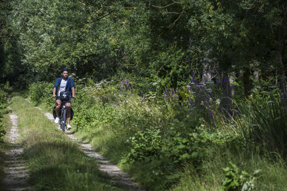 France, Deux-Sèvres (79), le Marais Poitevin, la Venise Verte, Le Vanneau-Irleau, randonnée à bicyclette le long des canaux