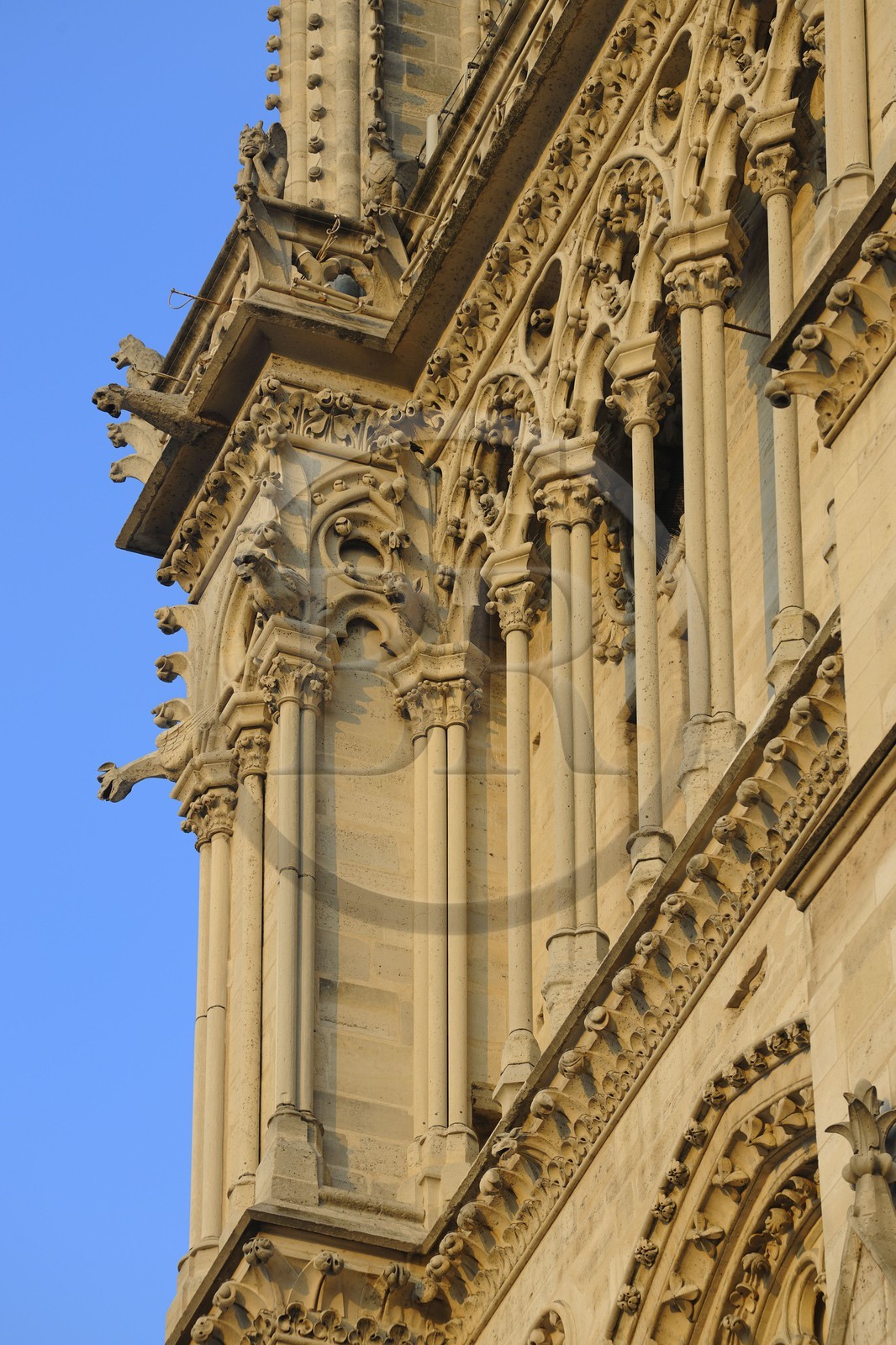 France, Paris (75), Ile de la Cité, cathédrale Notre-Dame de Paris, gargouilles de la tour nord