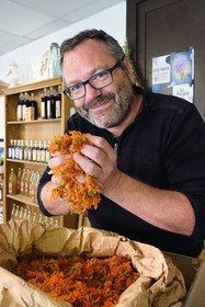 France, Vosges (88), Le Valtin, village de la haute-vallée de la Meurthe, John Voinson, maire du Valtin et producteur de plantes médicinales et de petits fruits marqués Parc naturel régional, manipule du calendula au magasin bio les Herbes du Valtin