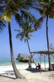 Tanzanie, archipel de Zanzibar, île de Unguja (Zanzibar), côte est, le restaurant The Rock perché sur un îlot à Pingwe