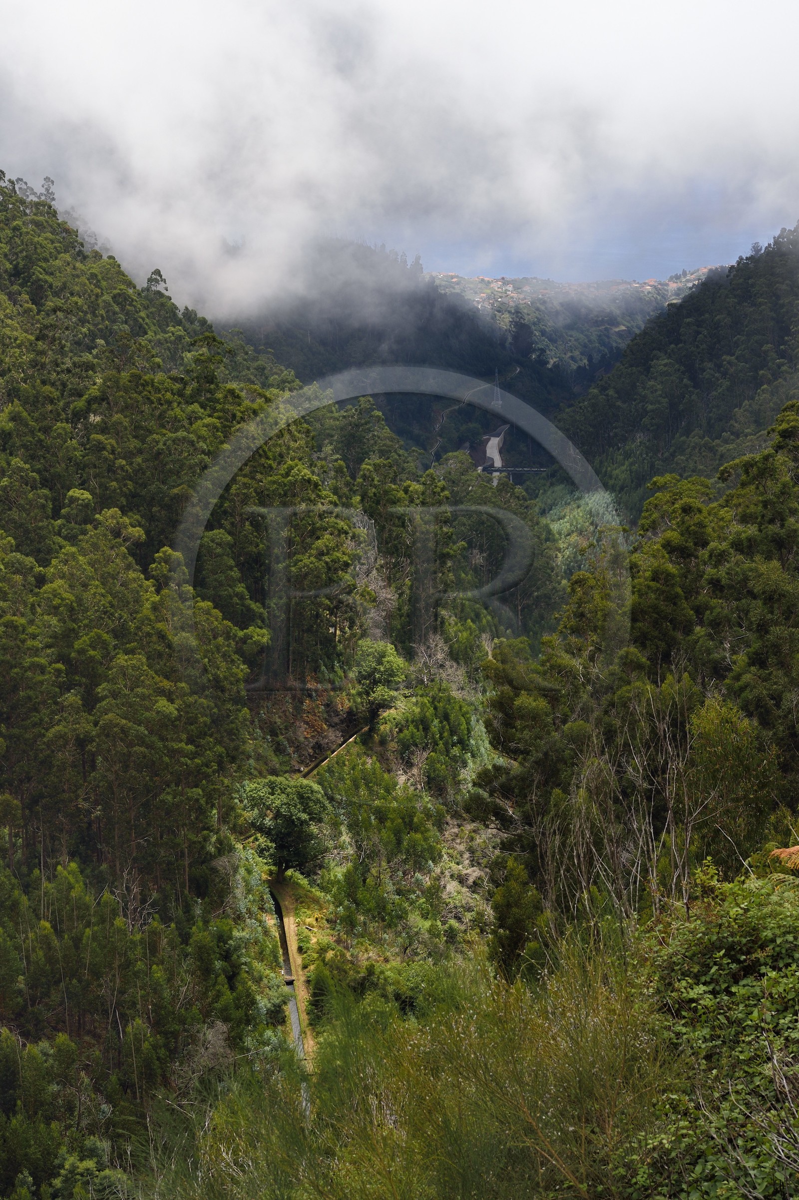 Portugal, Ile de Madère, la Levada da Rocha Vermelha dans la vallée de Calheta