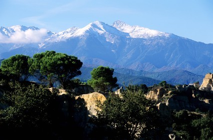 France, Pyrénées-Orientales (66), site des orgues dans le Ribéral, en face du massif du Canigou