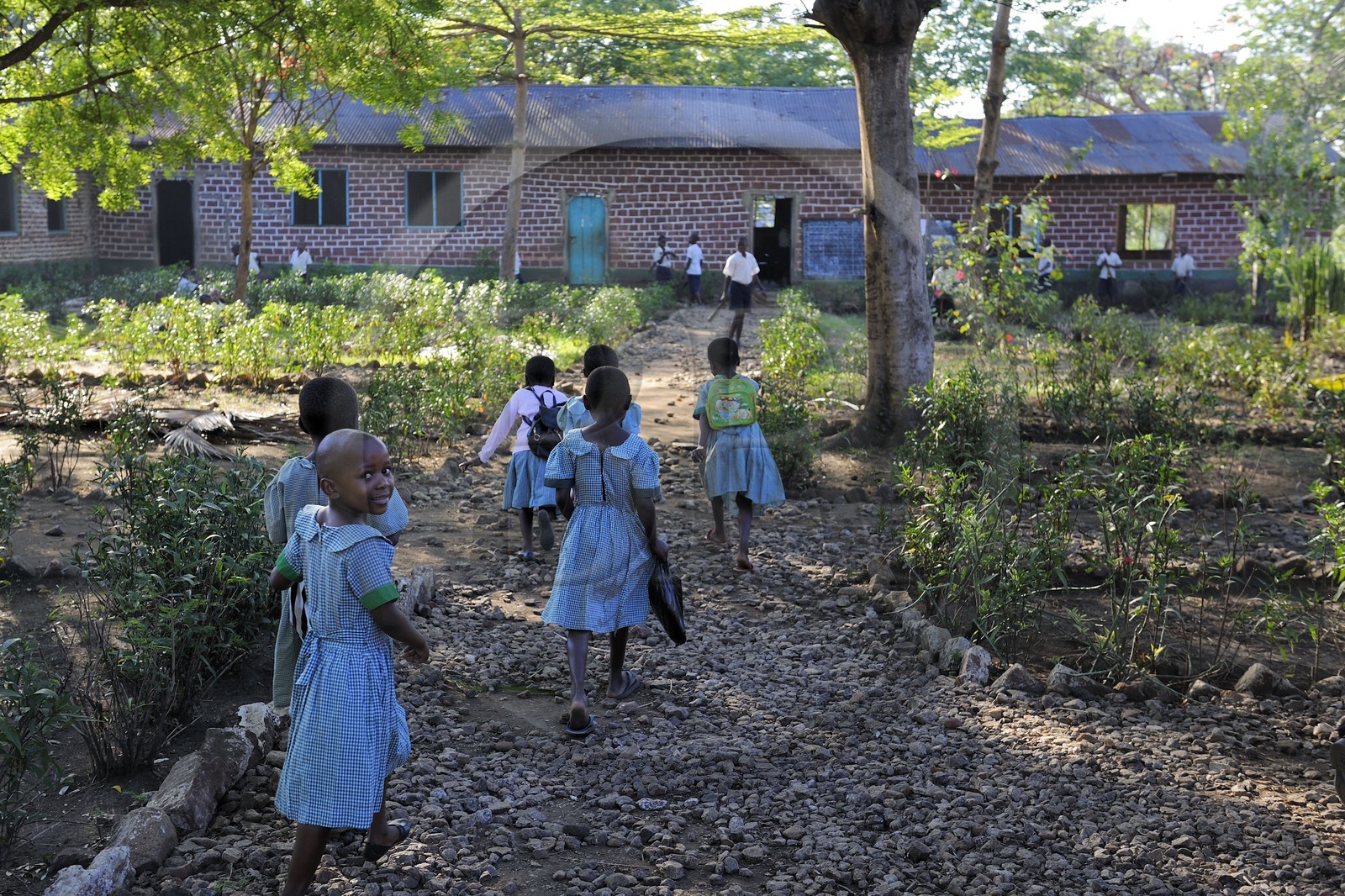 Tanzanie, région de Morogoro, les Monts Uluguru, école primaire du village de Kiroka