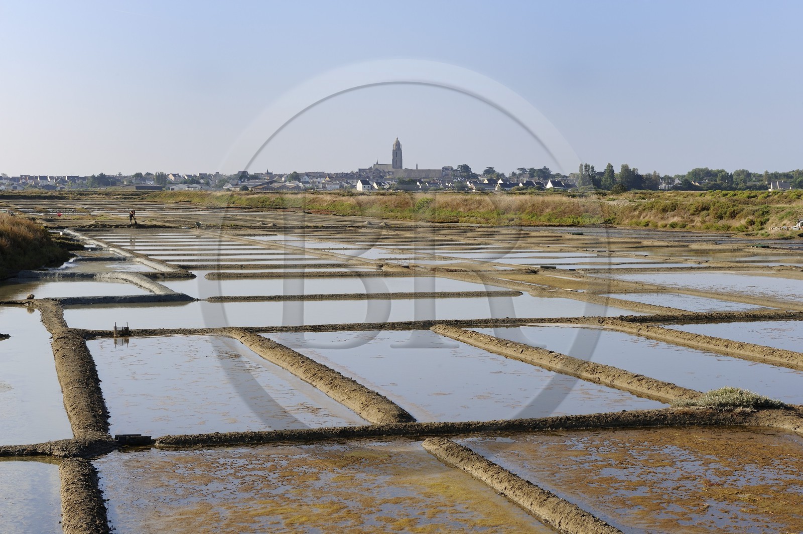 France, Loire-Atlantique (44), la Presqu'île de Guérande, les marais salants à Batz-sur-Mer
