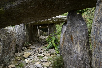 France, Ille-et-Vilaine (35), Saint-Just, monuments mégalithiques de la Lande de Cojoux, dolmen, sépulture à entrée latérale de Tréal