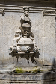 France, Bouches-du-Rhône (13), Parc Naturel Régional des Alpilles, Saint-Rémy-de-Provence, la Font Vieio alias la fontaine Nostradamus