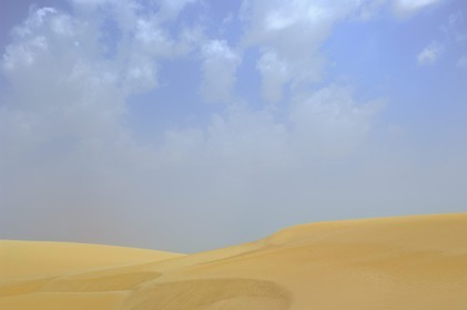 Egypte, Haute-Egypte, désert libyque, paysage désertique vers  Umm el-Dabadib au nord-est de Kharga