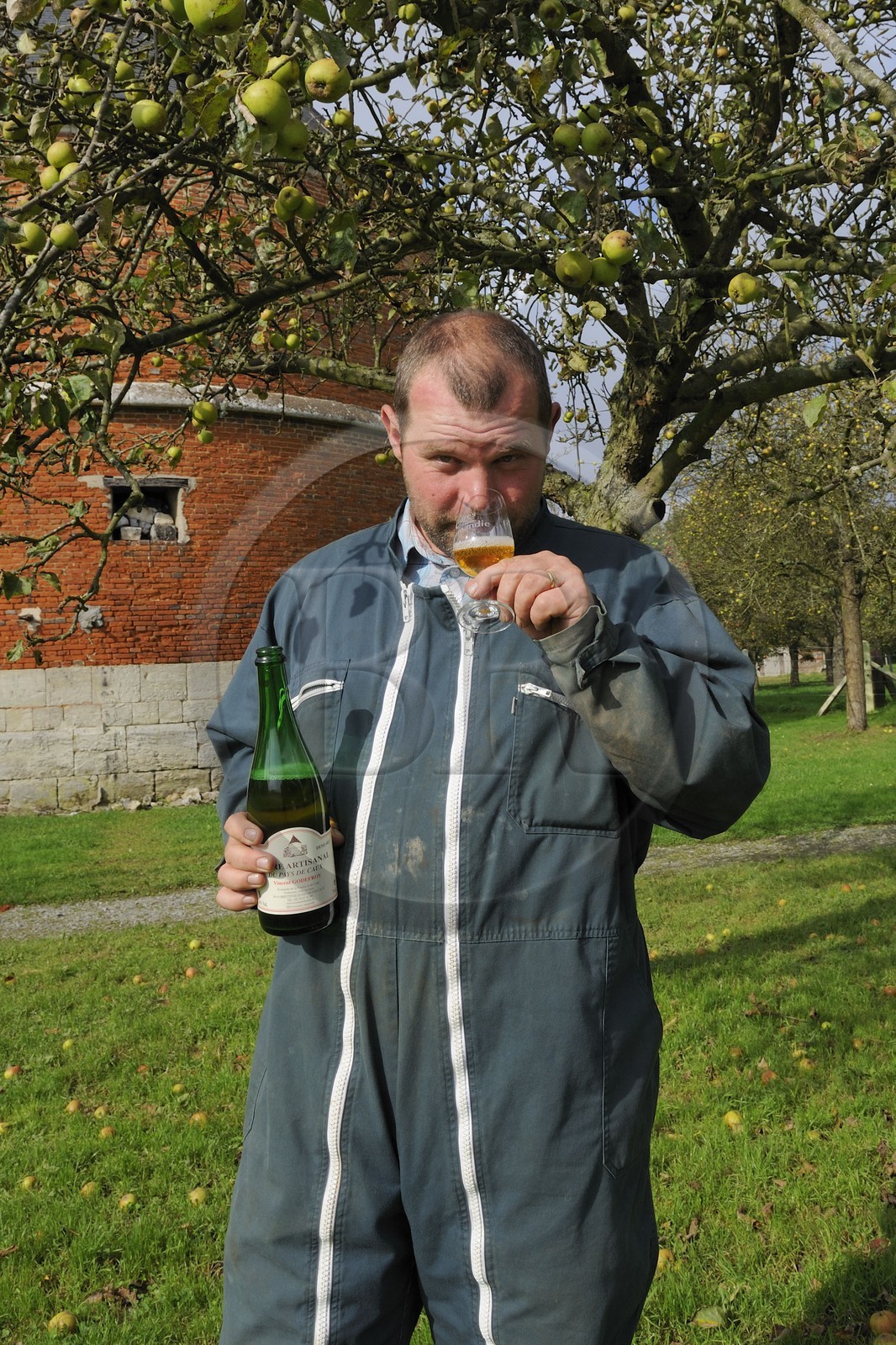 France, Seine-Maritime (76), Bretteville-du-Grand-Caux, clos-masure qui abrite l'Ecomusée de la Pomme et du Cidre au sein de la ferme, Vincent Godefroy producteur de cidre