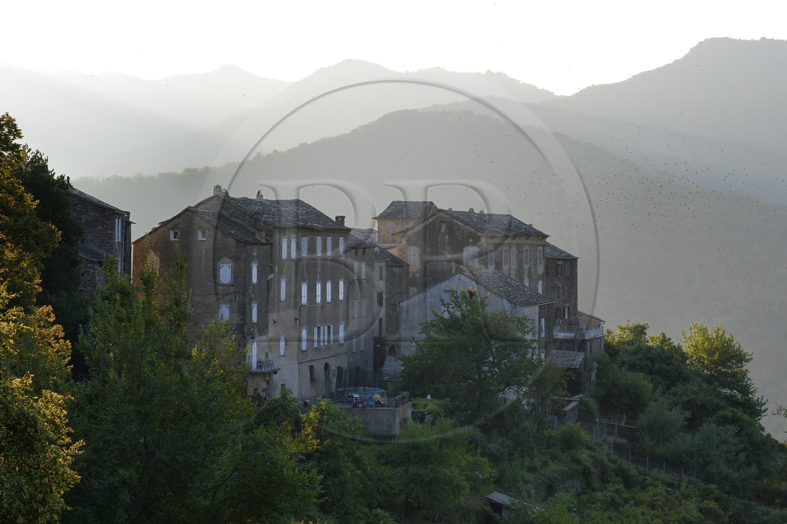 France, Haute-Corse (2B), Castagniccia, village de Piedicroce