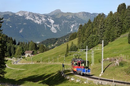 Suisse, canton de Vaud, Villars-sur-Ollon, train qui rejoint la gare du col de Bretaye, restaurant du Col de Soud