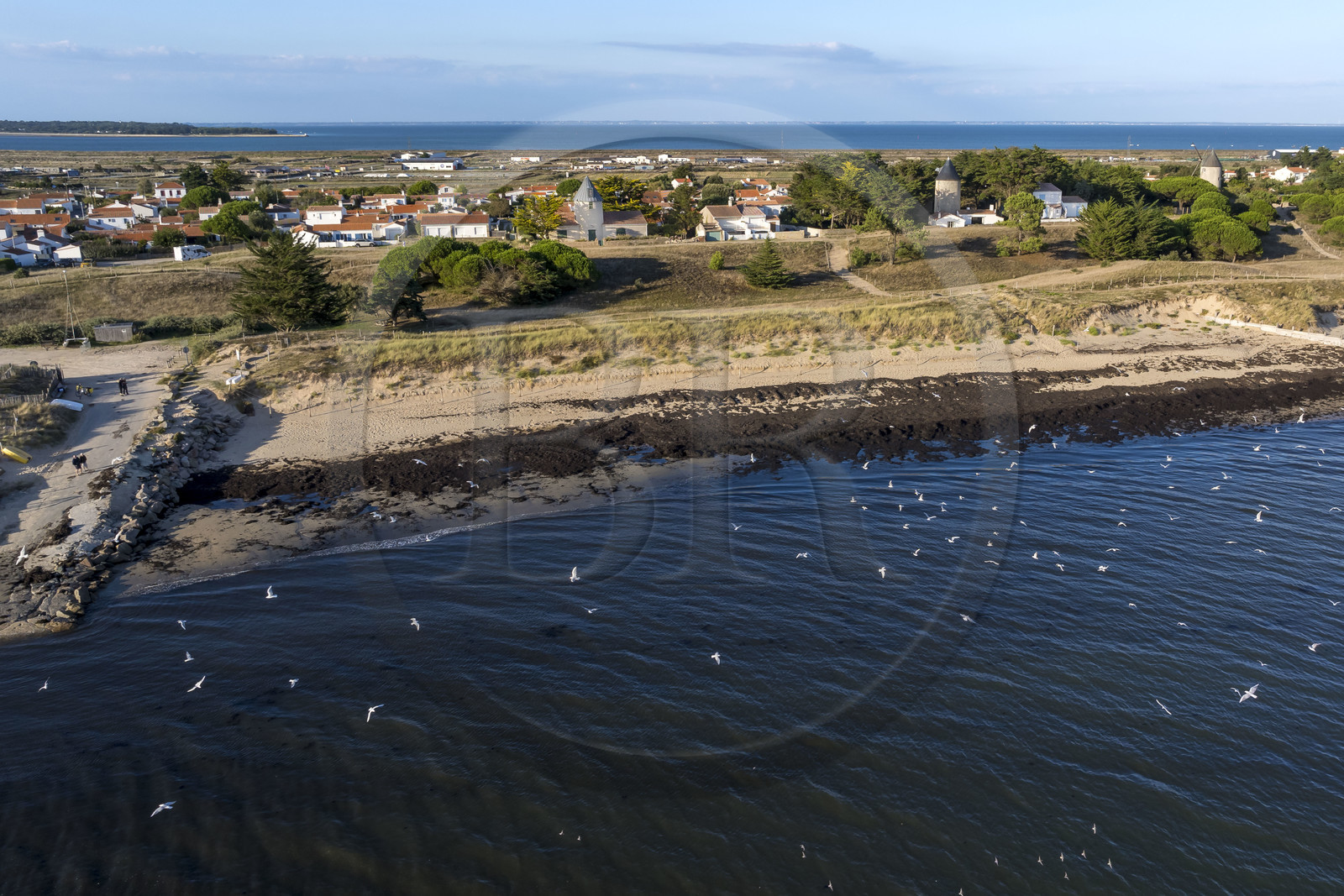 France, Vendée (85), Ile de Noirmoutier, La Guérinière, plage de la court et les moulins de la Court (vue aérienne)