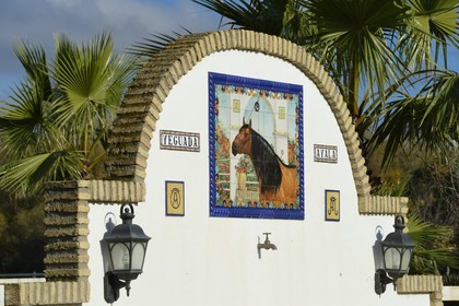 Espagne, Andalousie, province de Séville, Utrera, le haras Ayala (Yeguada Ayala)