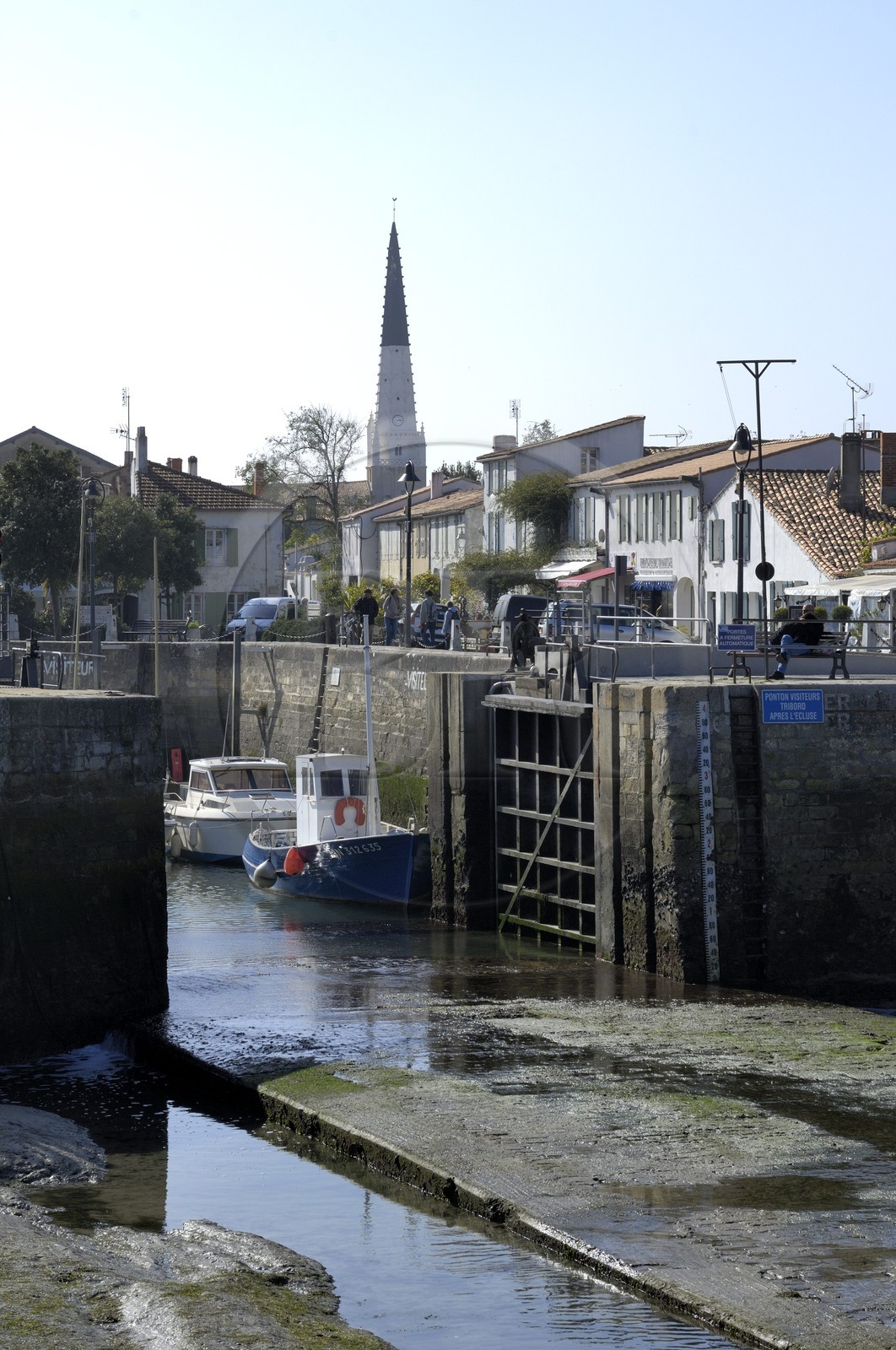 France, Charente-Maritime (17), ile de Ré, le port d' Ars-en-Ré