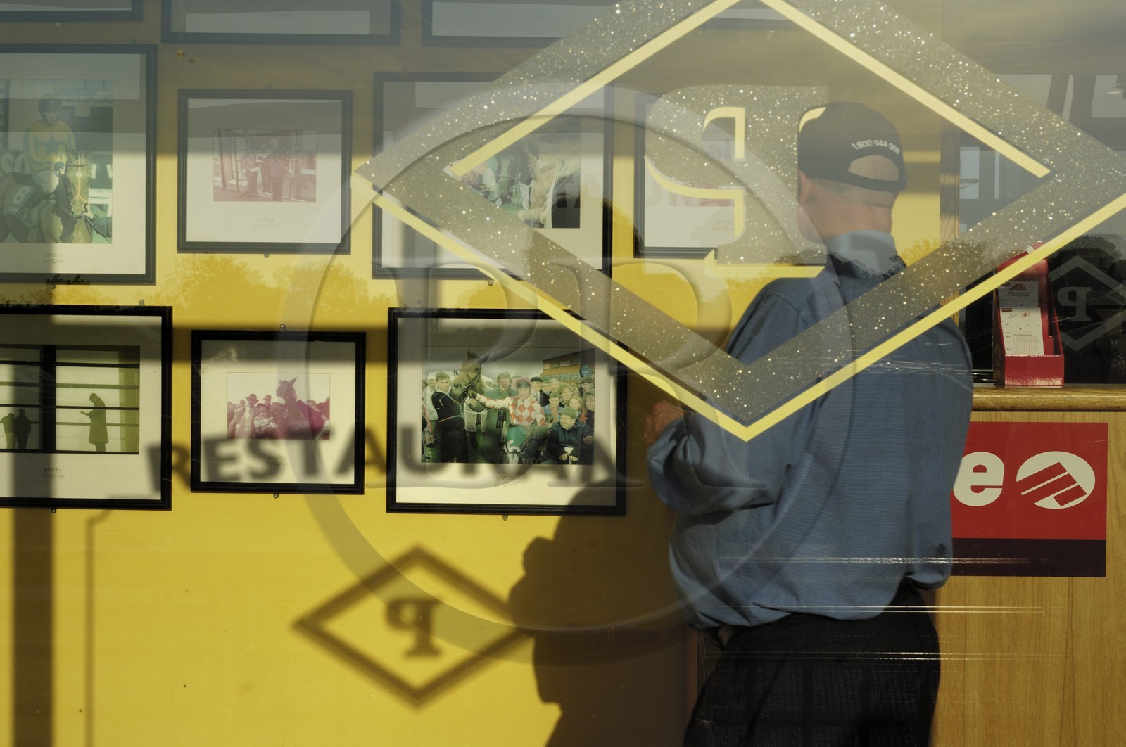 Irlande, Co. Meath, hippodrome de Fairyhouse