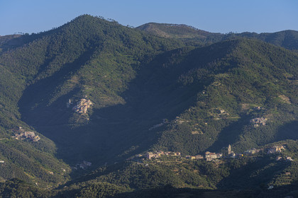 Italie, Ligurie, Cinque Terre, parc national des Cinque Terre classé Patrimoine Mondial de l'UNESCO, villages et hameaux dans les hauteurs de Monterosso al Mare