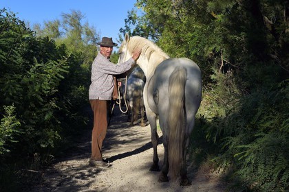 France, Bouches-du-Rhône (13), Parc naturel régional de Camargue, Mas du Menage, manade Saint Antoine (Cauzel), le gardian Régis Blayrat
