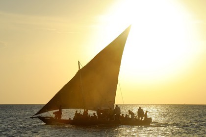 Tanzanie, archipel de Zanzibar, île de Unguja (Zanzibar), côte ouest, un dhow (boutre traditionnel)
