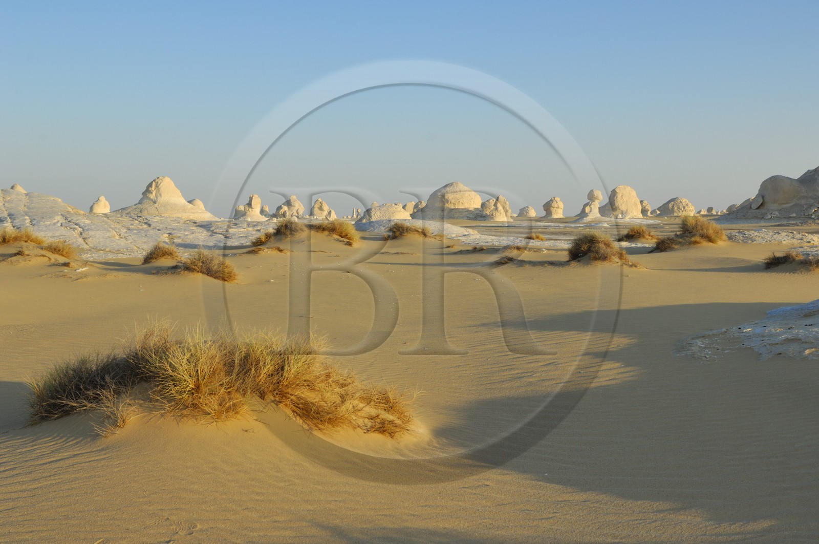 Egypte, désert libyque, le Désert Blanc au nord de Farafra