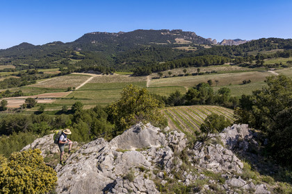 France, Vaucluse (84), Dentelles de Montmirail, Beaumes-de-Venise, randonneurs sur le plateau des Courens et la montagne du Clapis en arrière plan (vue aérienne)